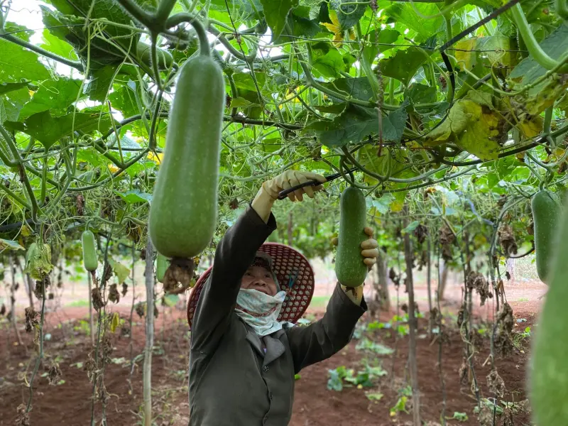 铝合金走线架与集成灯带在数据中心布线中的协同应用